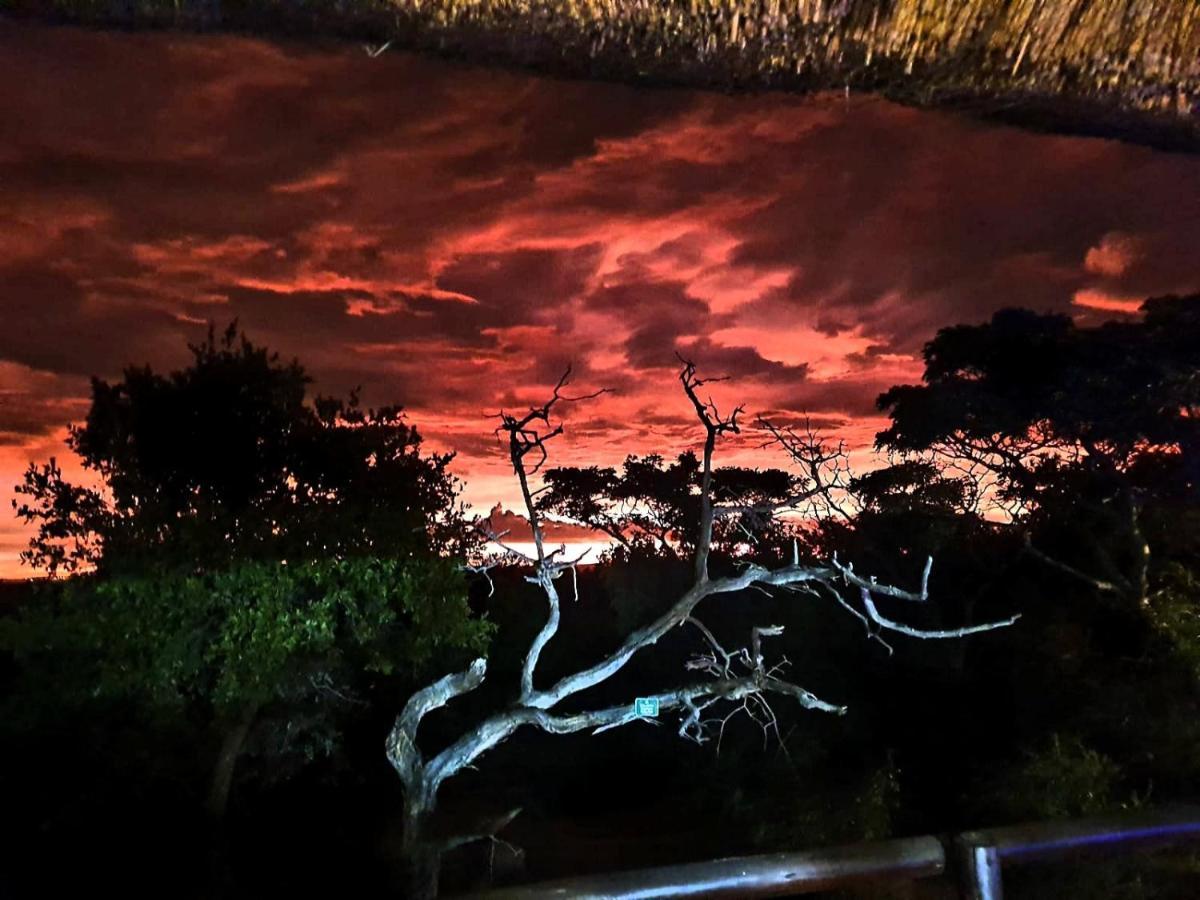 636 Itaga Safari Lodge, Mabalingwe Nature Reserve Mabula Game Reserve Экстерьер фото