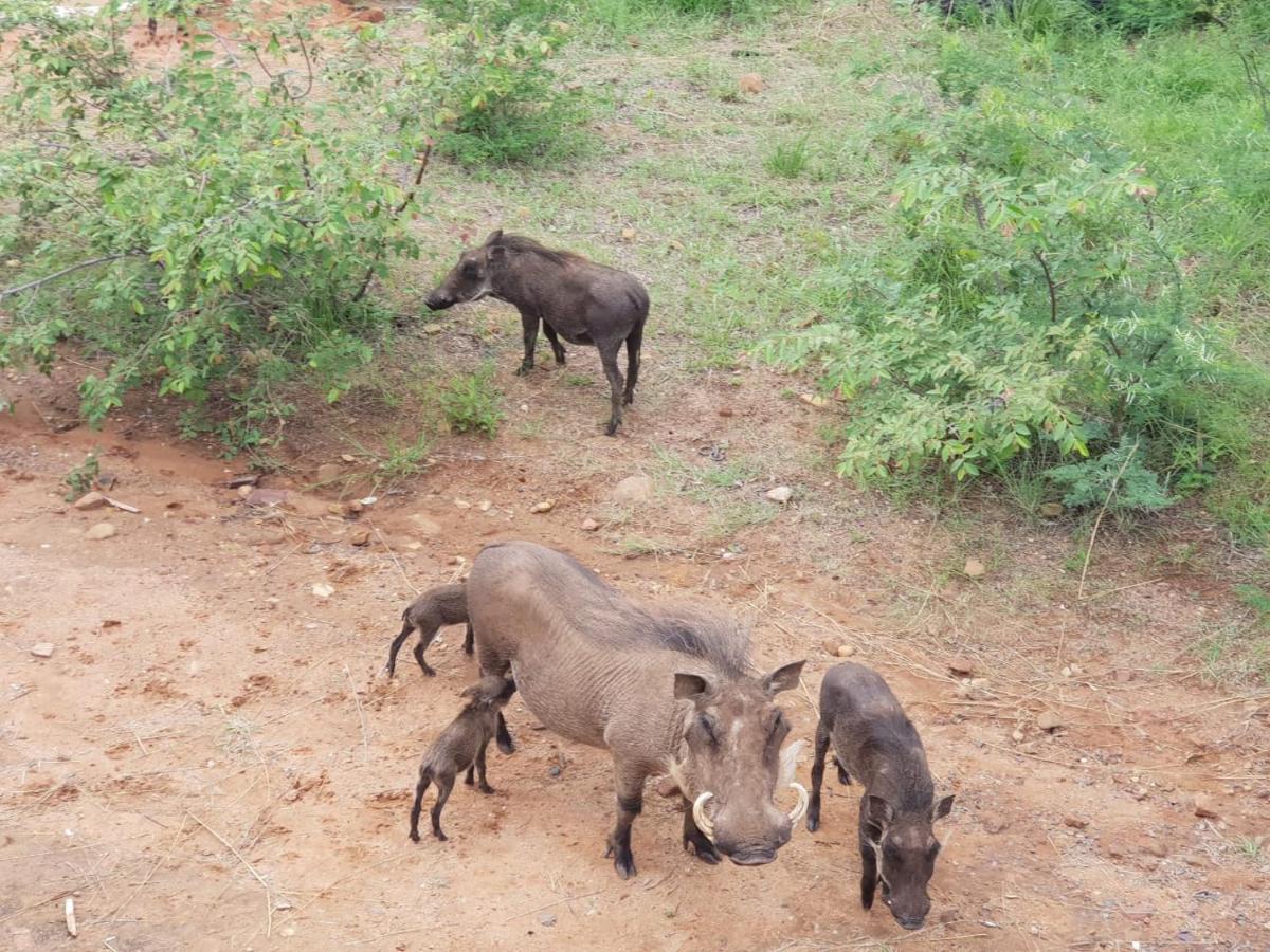 636 Itaga Safari Lodge, Mabalingwe Nature Reserve Mabula Game Reserve Экстерьер фото