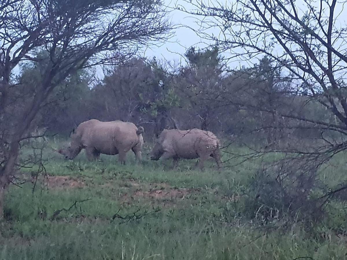 636 Itaga Safari Lodge, Mabalingwe Nature Reserve Mabula Game Reserve Экстерьер фото